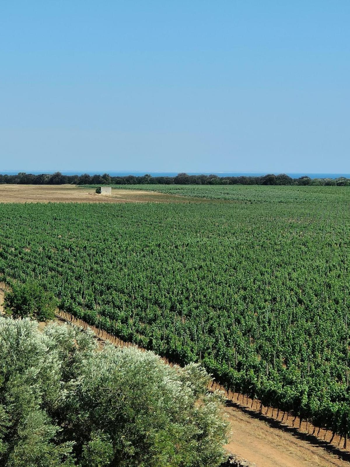 Nordisk Village Puglia Campo de lujo Manduria